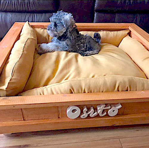 cama de madera con nombre personalizado para perros grandes medianos chicos