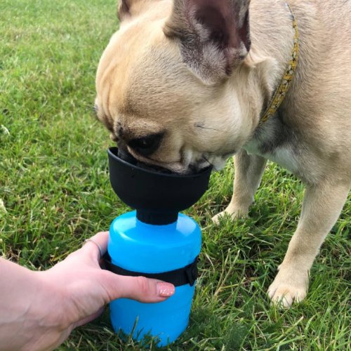 Botella bebedero de agua para perros mascota paseo chile comprar